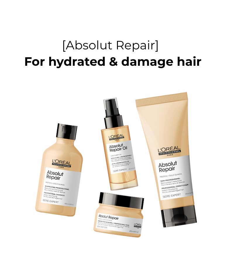 Absolut Repair